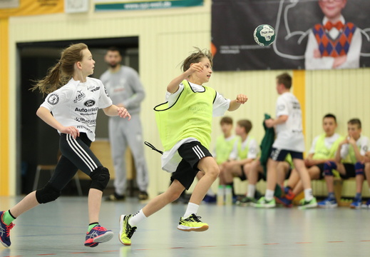 handballcamp-2019-378