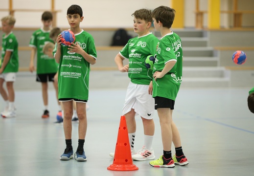 handballcamp-hsg-dm-tag-3-0116
