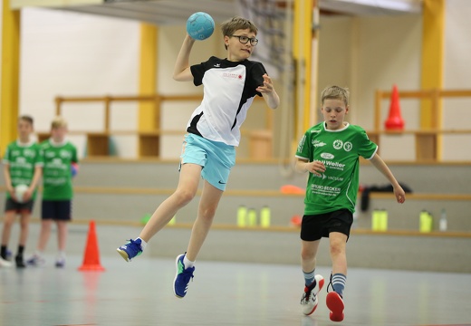 handballcamp-hsg-dm-tag-3-0118