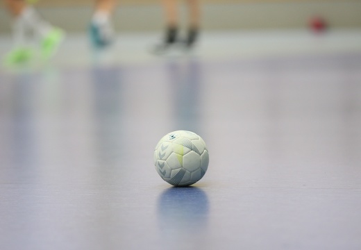 handballcamp-hsg-dm-tag-3-0124