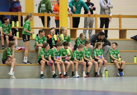 handballcamp-hsg-dm-tag-3-0208