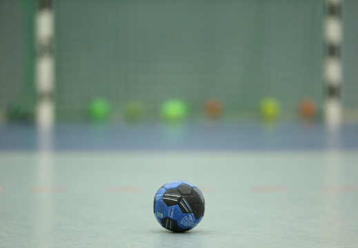 hsg-dm-handballcamp-0045