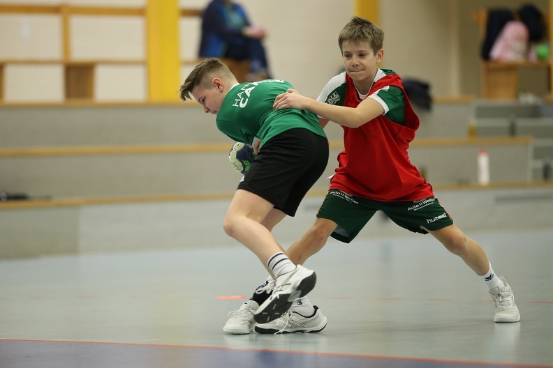 hsg-dm-handballcamp-0105.jpg