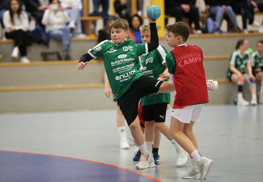 hsg-dm-handballcamp-0153