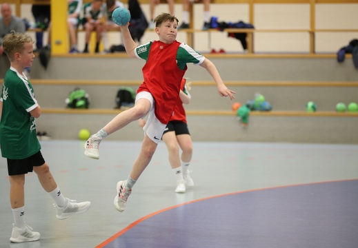 hsg-dm-handballcamp-0159