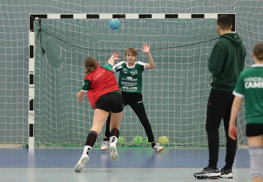 hsg-dm-handballcamp-0207